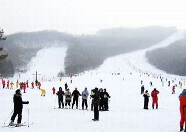 初学者滑雪全攻略