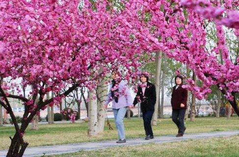 怀柔特色旅游线路指南 怀柔特色旅游线路指南