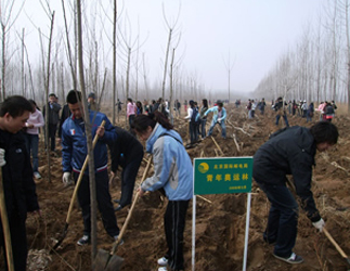 清寓庄园植树基地