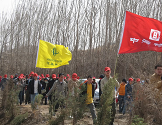 清寓庄园植树基地