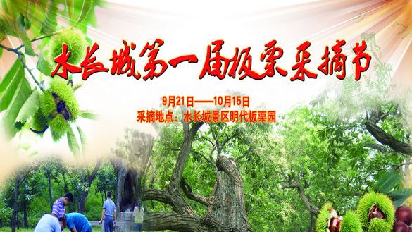 怀柔水长城第一届板栗采摘节9月20日开幕
