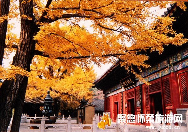怀柔古寺红螺寺景区游,赏红叶攻略推荐