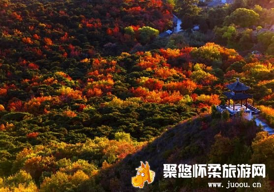 红螺寺红螺山秋季登高赏叶,北京市秋季赏叶的重点景区之一