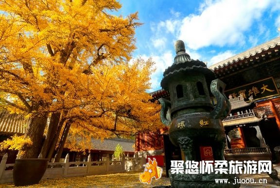 红螺寺红螺山秋季登高赏叶,北京市秋季赏叶的重点景区之一