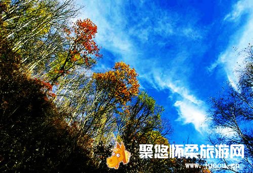 喇叭沟门五龙潭原始森林景区2013年停止营业的通知