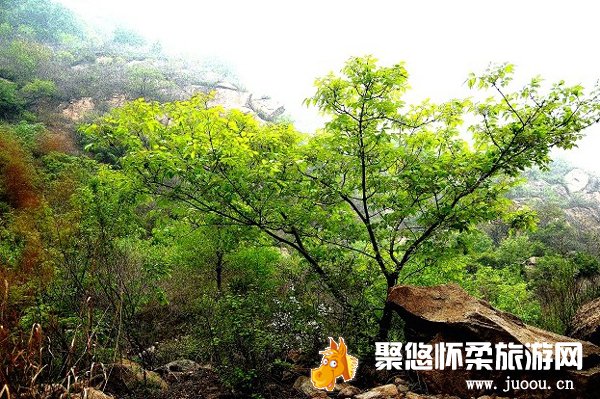 北京怀柔天池峡谷特色推荐旅游指南