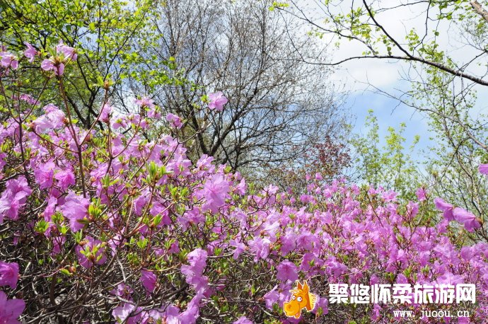 北京怀柔喇叭沟门景区旅游特色