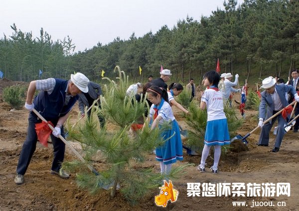 北京京郊怀柔春游植树指南抱蓝天