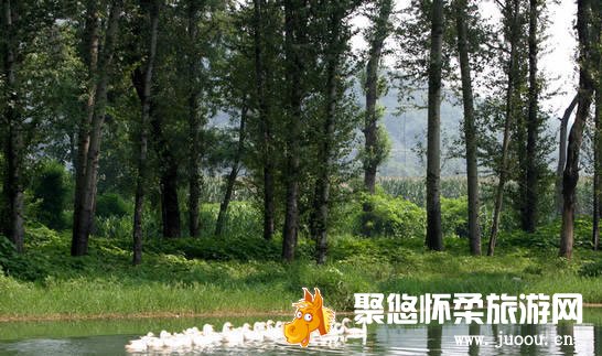 鹅和鸭农庄特别推出“植树节，献爱心”大型公益活动