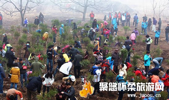 响水湖长城第四届养生植树节