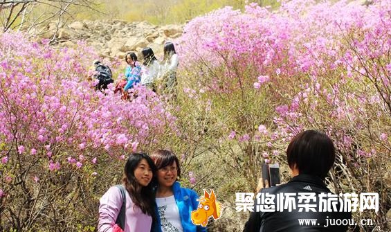 喇叭沟门满族乡内冰川清凉、白桦吐绿、杜鹃花开，吸引了大批游客前往休闲旅游