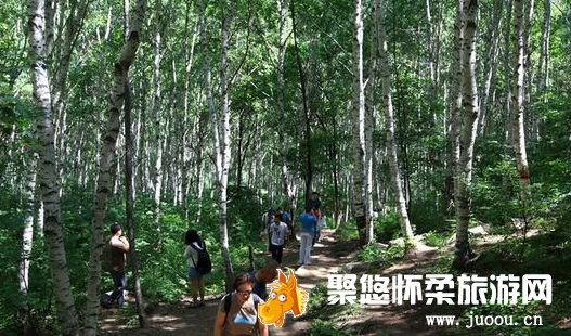 喇叭沟原始森林公园徒步旅游的魅力