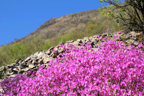 北京怀柔旅游网