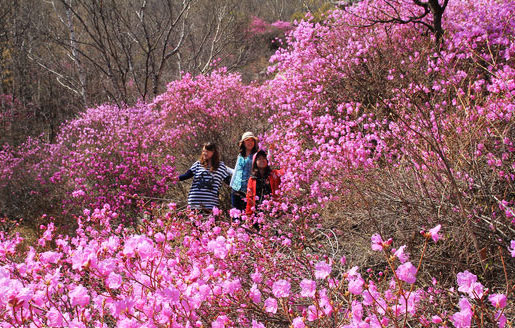 北京怀柔旅游网