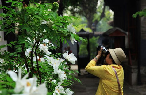 北京怀柔旅游网