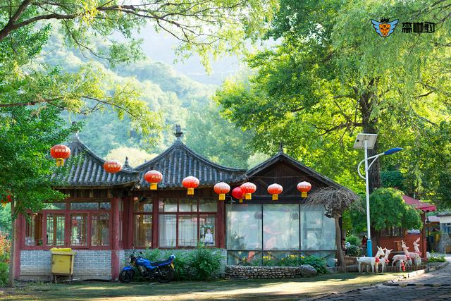 怀柔不光是吃吃喝喝,还有一个20000平米的彩弹射击场能嗨玩夏天