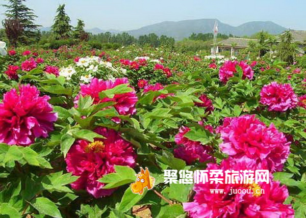 北京黄花城长城景区