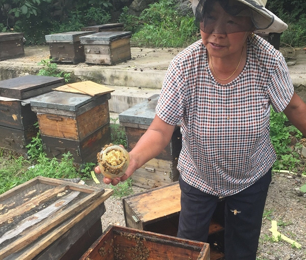 北京怀柔旅游网