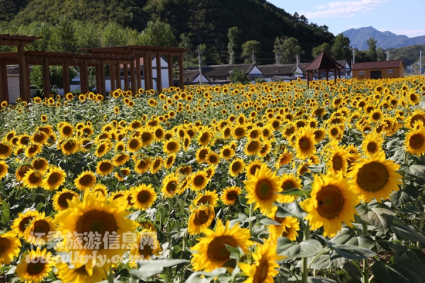 北京怀柔旅游网
