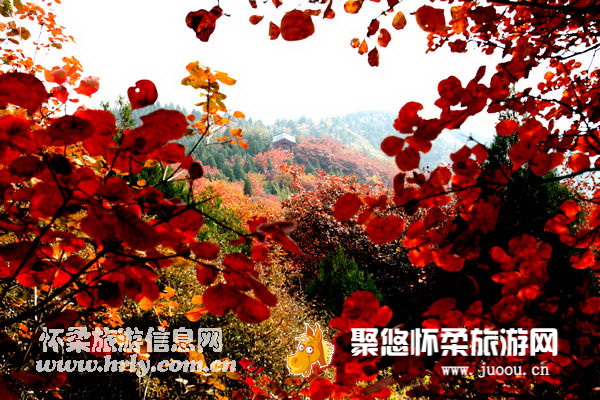 北京怀柔旅游网