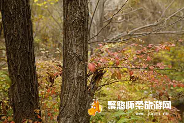 北京黄花城长城景区