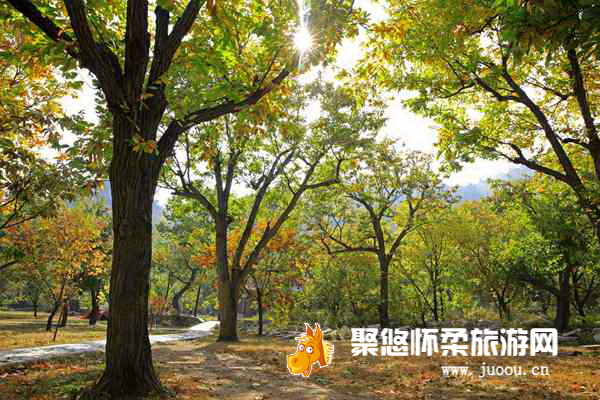 北京黄花城长城景区