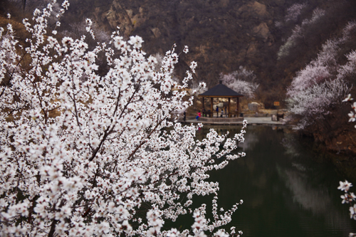 北京黄花城长城景区