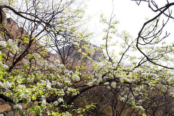 北京黄花城长城景区