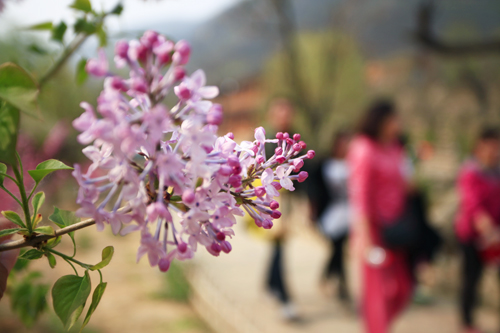 北京黄花城长城景区