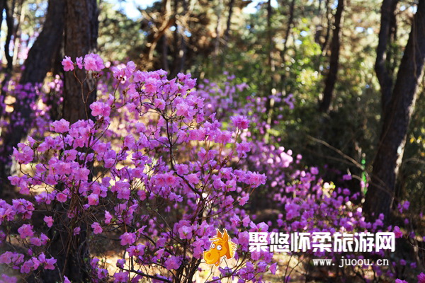 北京怀柔旅游网