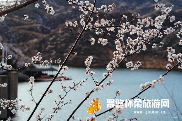 北京黄花城长城景区