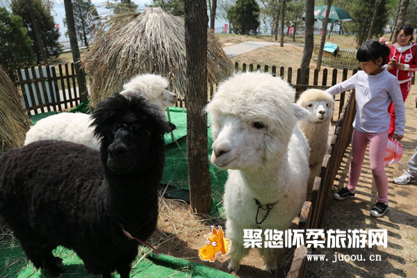 北京雁栖湖旅游景区