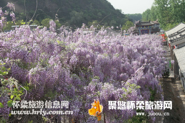 北京怀柔旅游网