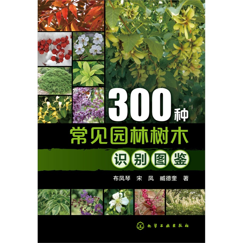 300种常见园林树木识别图鉴.jpg
