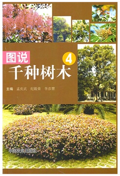 图说千种树木4.jpg