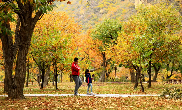 北京黄花城长城景区