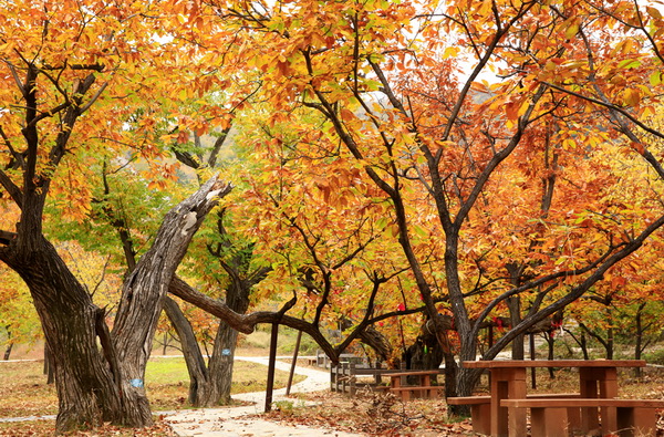 北京黄花城长城景区