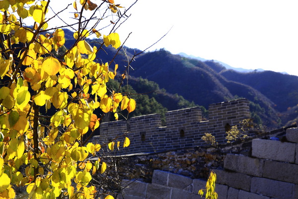 北京黄花城长城景区