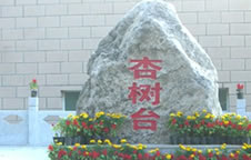 九渡河镇杏树台市级民俗村
