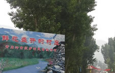 琉璃庙镇青石岭市级民俗村