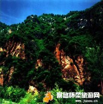 崎峰山国家森林公园主要分布有落叶松林、辽东栎林、白桦和黑桦林