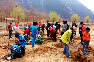  京郊响水湖植树活动再掀高潮