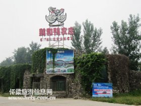齐心添绿、关爱自然——鹅和鸭农庄植树活动开始啦！