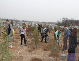 外国留学生来圣泉山景区植树