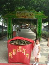 体验传统端午  享受多彩生活（组图）