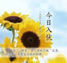 入伏  进入桑拿天气