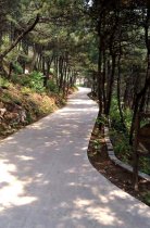 暑伏递凉意  登山走起