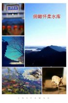 “春染大地 添抹绿意”一起去春游